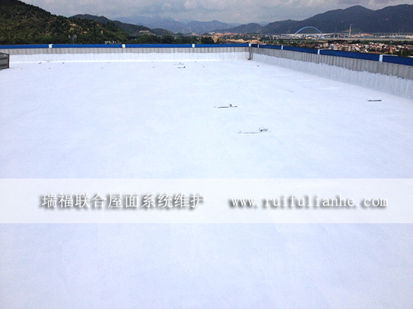瑞福联合混凝土屋面防水涂料